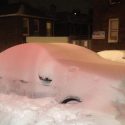 1st Winter Storm