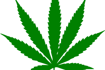 Leaf of Cannabis