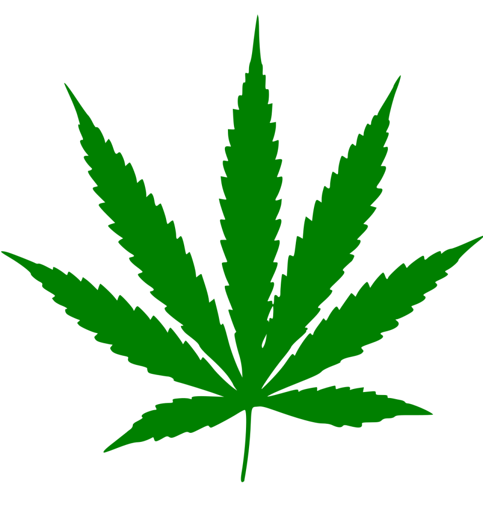 Leaf of Cannabis